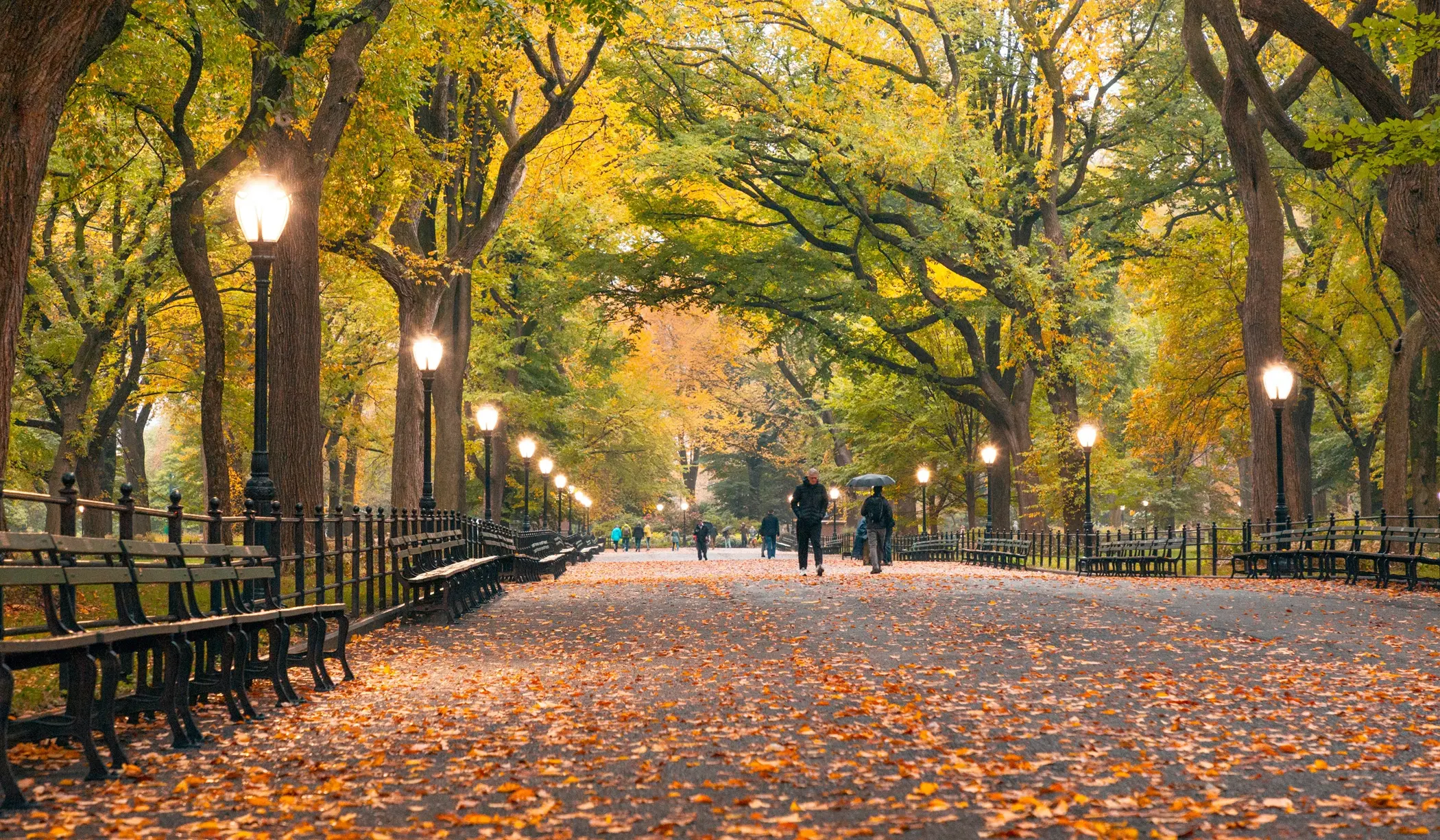 History of Horse Carriage Rides in Central Park