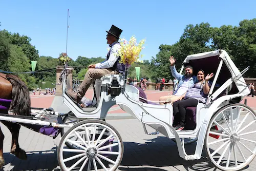 central-park-carriage-highlights-tour