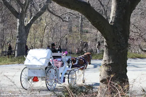 central-park-custom-private-carriage-ride