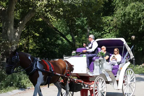 central-park-extended-city-carriage-ride
